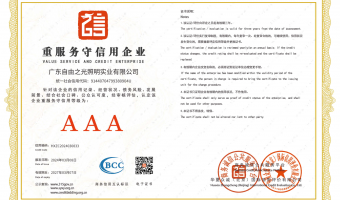 荣誉资质-洗墙灯_大功率洗墙灯_洗墙灯厂家-广东自由之光照明实业有限公司-重服务守信用企业